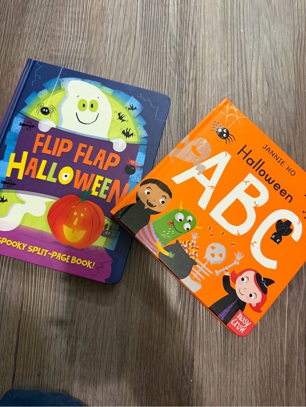 Flip Flap Halloween & Halloween ABC Board Books - Colorful Kids Set